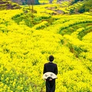 黄山旅游 缩略图 3