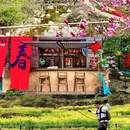 黄山旅游 缩略图 18