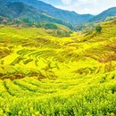 黄山旅游 缩略图 5