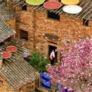 黄山旅游 缩略图 7