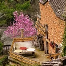 黄山旅游 缩略图 6