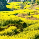 黄山旅游 缩略图 4