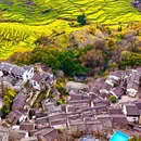 黄山旅游 缩略图 8