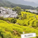 黄山旅游 缩略图 2