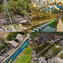 黄山旅游 缩略图 15
