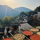 黄山旅游 缩略图 4