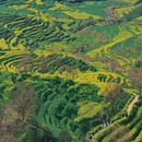 黄山旅游 缩略图 3