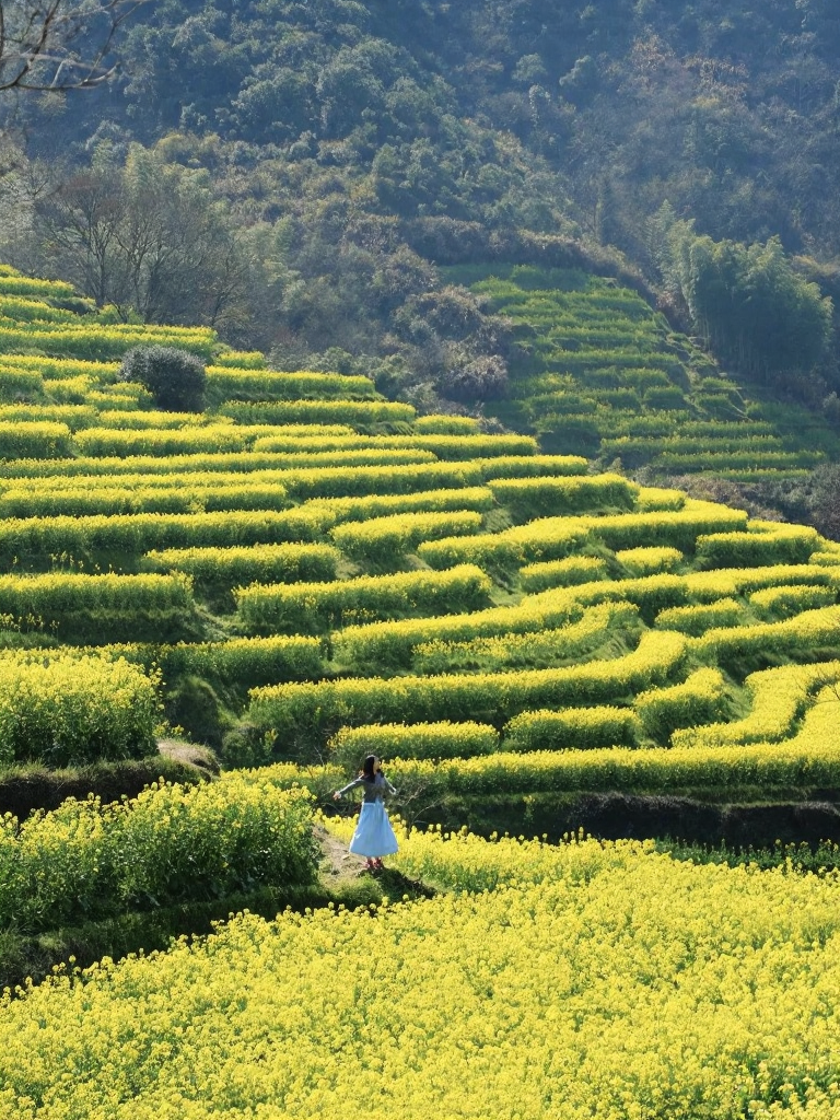 黄山旅游