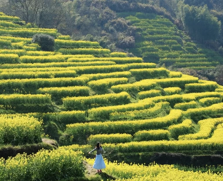 黄山旅游 1