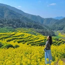 黄山旅游 缩略图 2