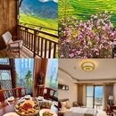黄山旅游 缩略图 12