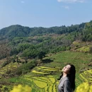 黄山旅游 缩略图 10