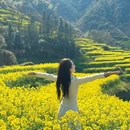 黄山旅游 缩略图 6