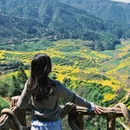 黄山旅游 缩略图 8