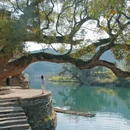 黄山旅游 缩略图 14
