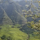 黄山旅游 缩略图 1