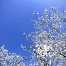 北京旅游 缩略图 2