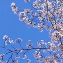 北京旅游 缩略图 1