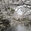 上海旅游 缩略图 4