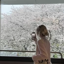上海旅游 缩略图 8
