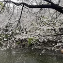 上海旅游 缩略图 5