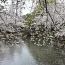上海旅游 缩略图 14