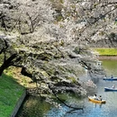 北京旅游 缩略图 4