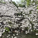 上海旅游 缩略图 15