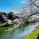北京旅游 缩略图 5