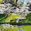 北京旅游 缩略图 7