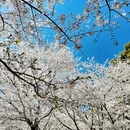 北京旅游 缩略图 2