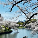 北京旅游 缩略图 8
