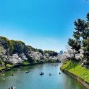 北京旅游 缩略图 10