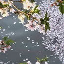 无锡旅游 缩略图 8