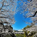 北京旅游 缩略图 3