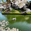 北京旅游 缩略图 6