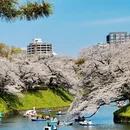 北京旅游 缩略图 9
