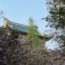 武汉旅游 缩略图 6
