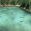 潍坊旅游 缩略图 3