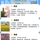 南京旅游 缩略图 8
