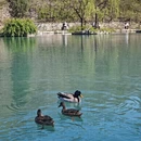 潍坊旅游 缩略图 7
