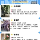 南京旅游 缩略图 9