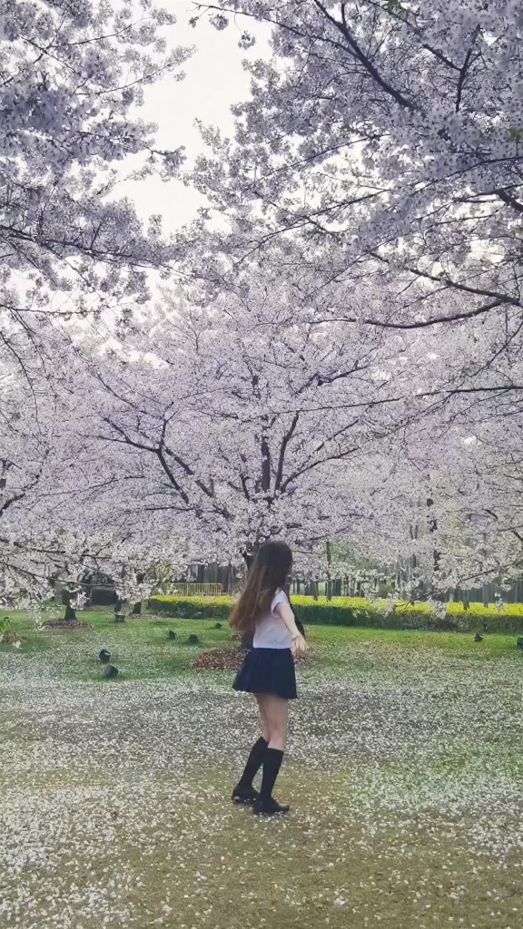 上海旅游