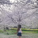 上海旅游 缩略图 1