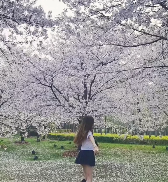 上海旅游 1