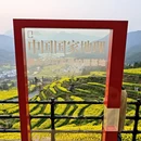 黄山旅游 缩略图 3