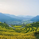 黄山旅游 缩略图 4