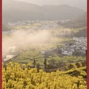 黄山旅游 缩略图 2
