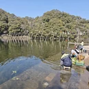 黄山旅游 缩略图 6