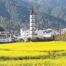 黄山旅游 缩略图 7
